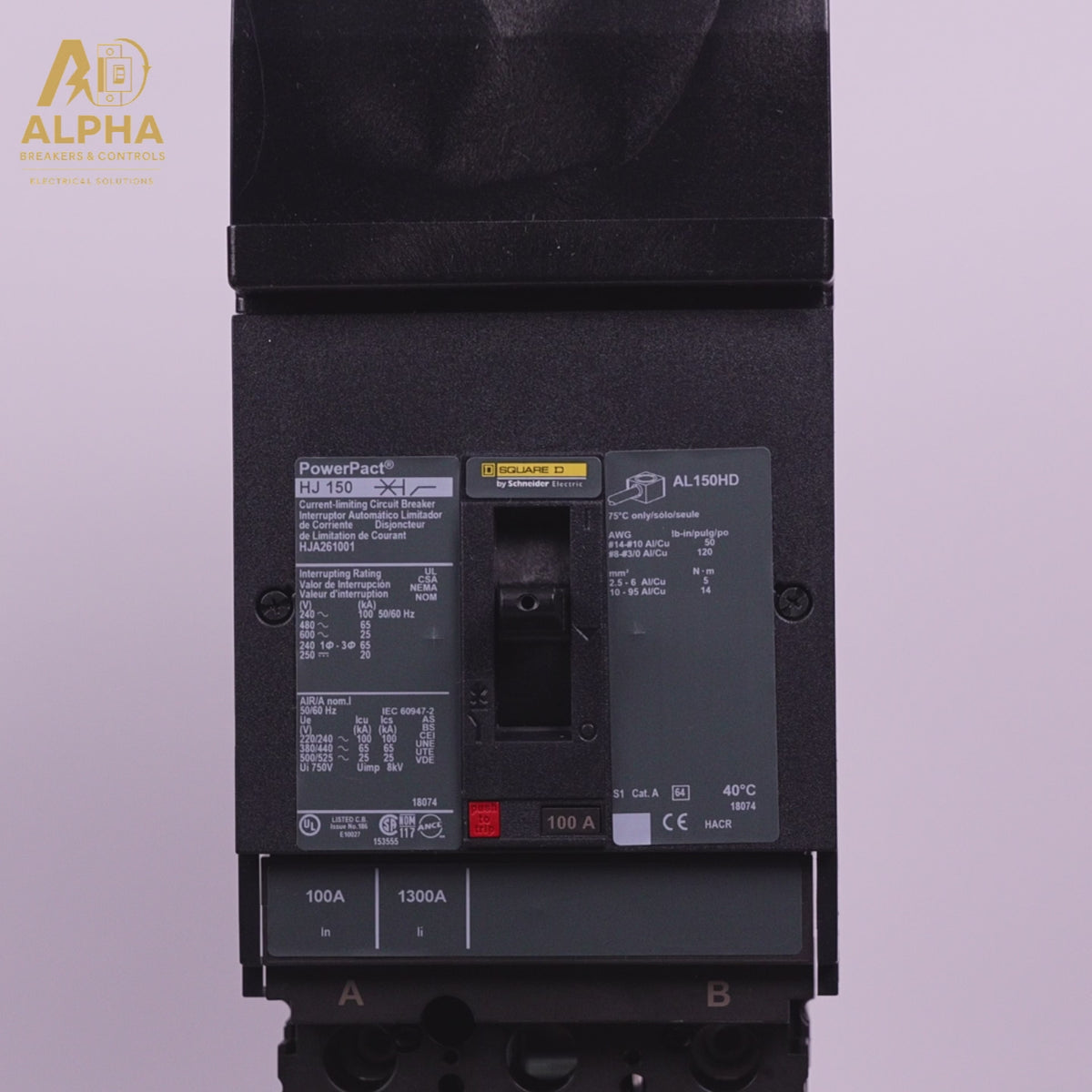 HJA261001 - Square D - PowerPact H-Frame Circuit Breaker | 100A 2-Pole 600V I-Line